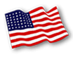 American flag icon